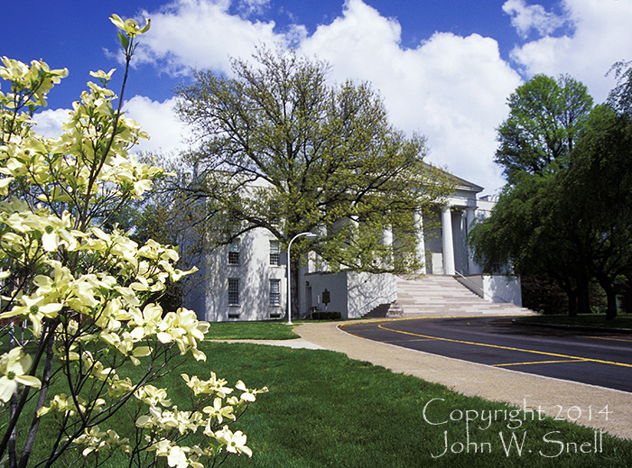 Dogwoods and Old Morrison