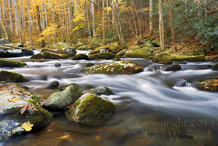 Rushing Waters