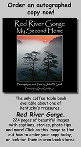 Website promo book front cover
