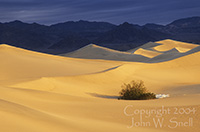 Sand Dunes, Stovepipe Well, Death Valley