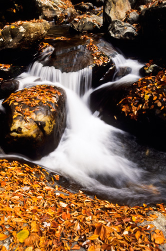 Falls on the Little Pigeon River