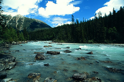 Kicking Horse River