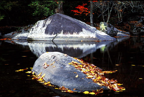 Little River Serenity