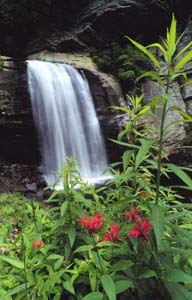 Looking Glass Falls