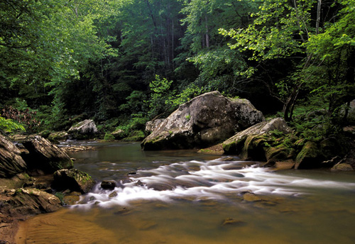 Riffle on the Red River