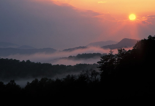 Sundance on the Mist