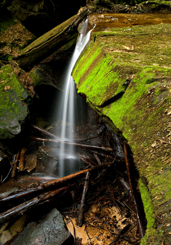 Waterfall at Sons Branch